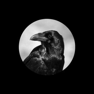 开心五月综合亚洲
